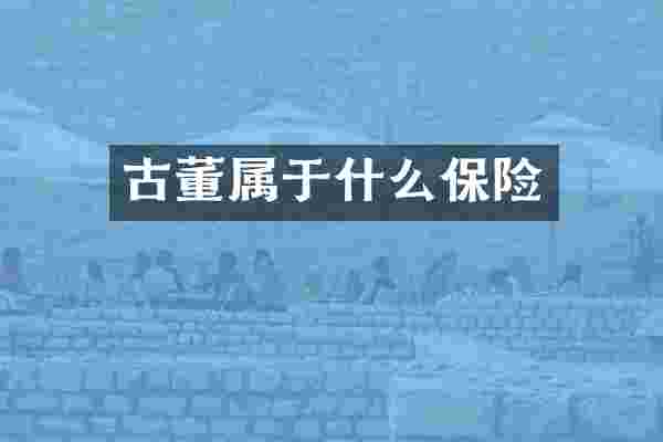 古董属于什么保险