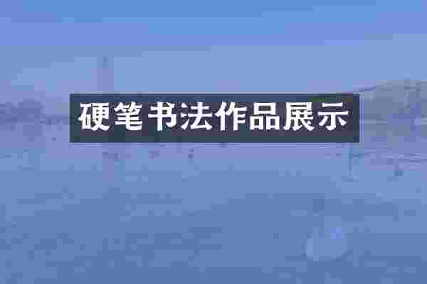 硬笔书法作品展示