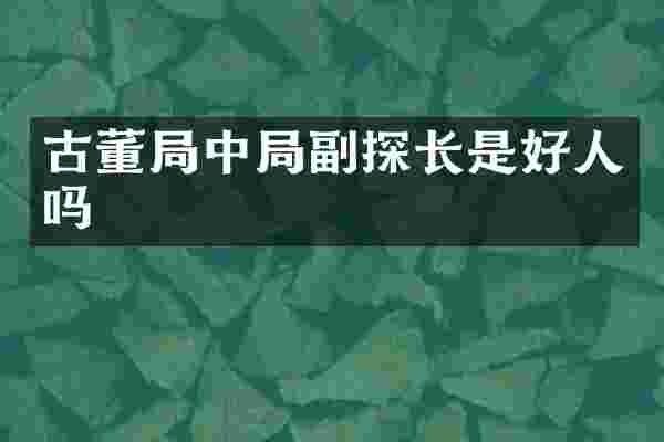 古董局中局副探长是好人吗