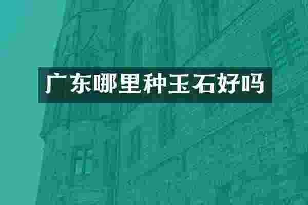 广东哪里种玉石好吗