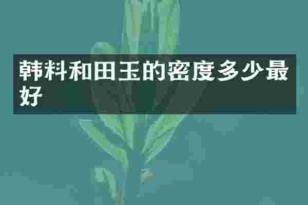 韩料和田玉的密度多少最好