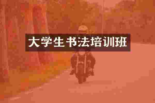 大学生书法培训班