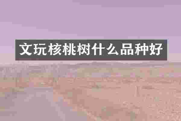 文玩核桃树什么品种好