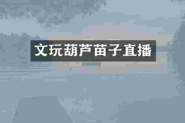 文玩葫芦苗子直播