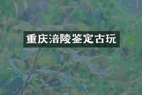 重庆涪陵鉴定古玩