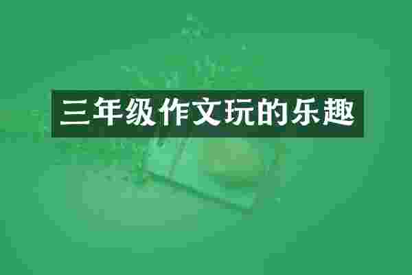 三年级作文玩的乐趣