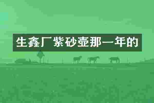 生鑫厂紫砂壶那一年的