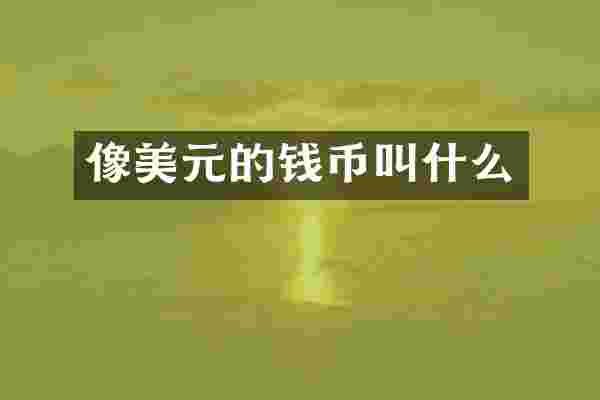 像美元的钱币叫什么