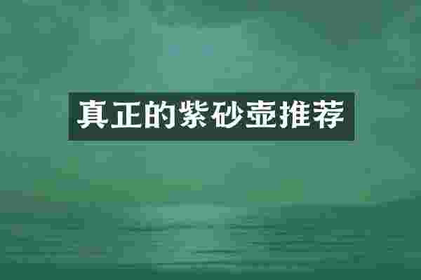 真正的紫砂壶推荐