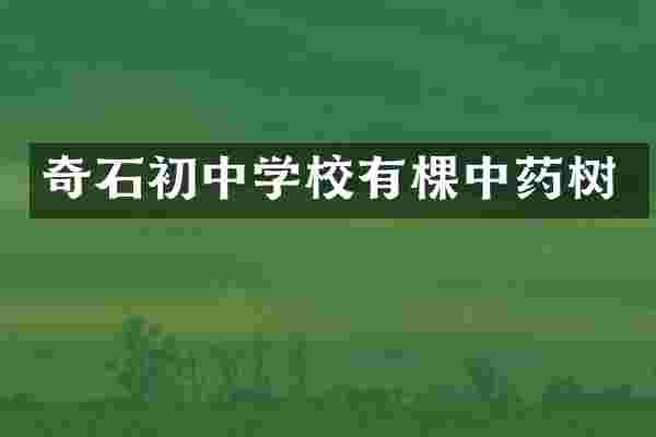 奇石初中学校有棵中药树