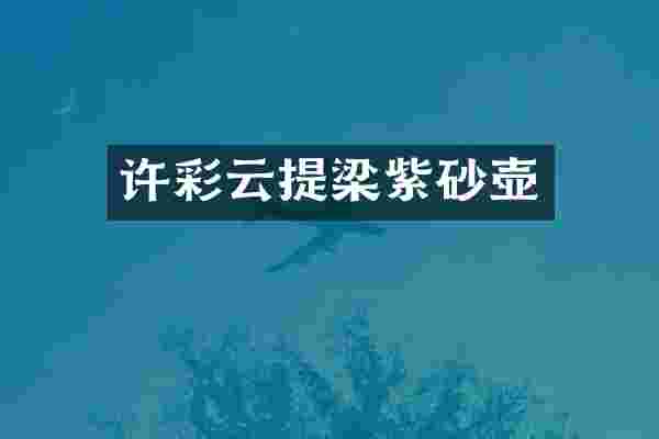 许彩云提梁紫砂壶