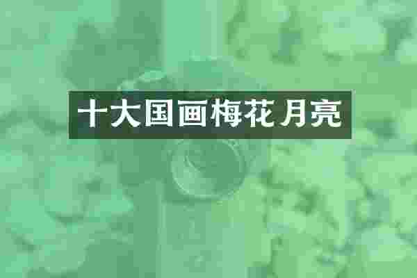 十大国画梅花月亮