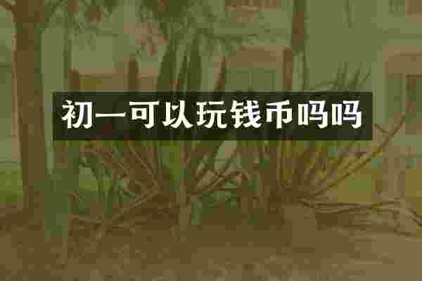 初一可以玩钱币吗吗