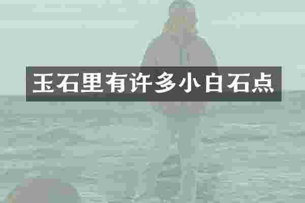 玉石里有许多小白石点