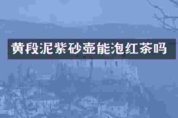 黄段泥紫砂壶能泡红茶吗