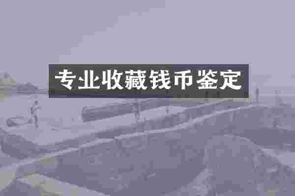 专业收藏钱币鉴定