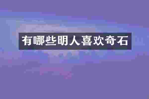 有哪些明人喜欢奇石