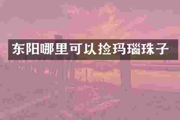 东阳哪里可以捡玛瑙珠子