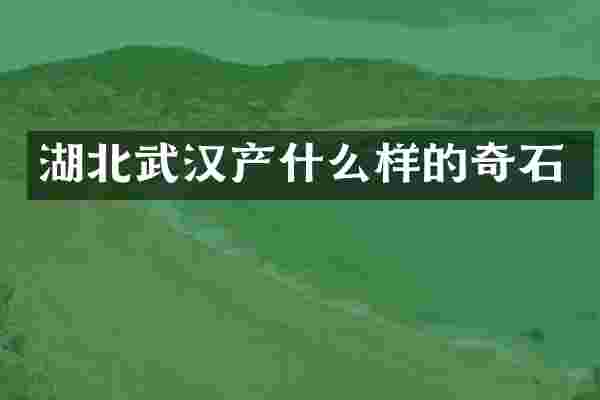 湖北武汉产什么样的奇石