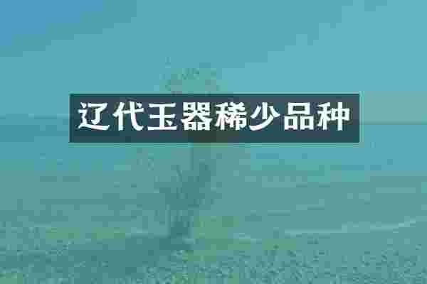 辽代玉器稀少品种