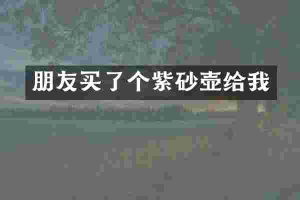 朋友买了个紫砂壶给我