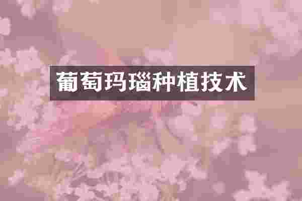 葡萄玛瑙种植技术