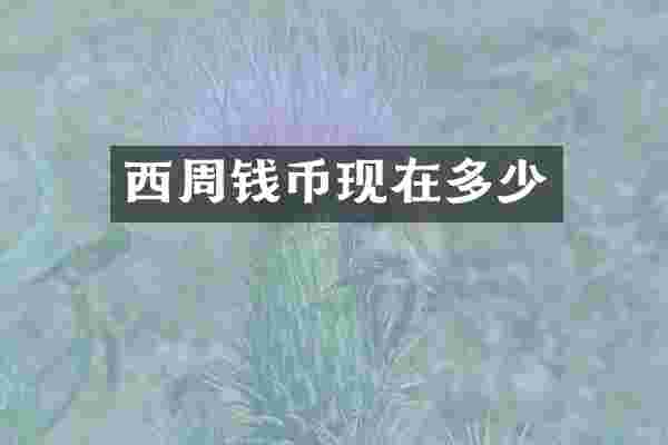 西周钱币现在多少
