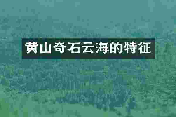 黄山奇石云海的特征