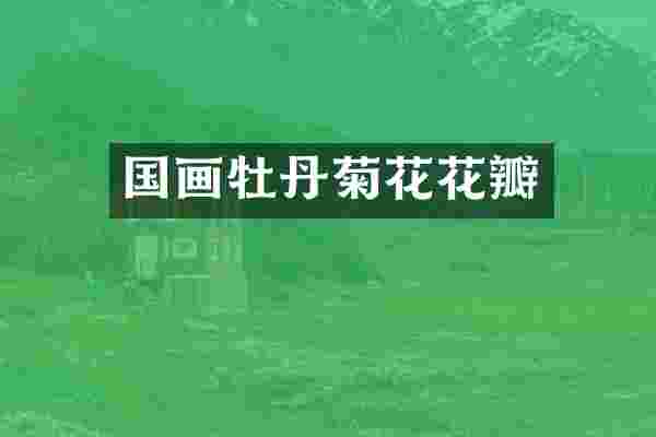 国画牡丹菊花花瓣