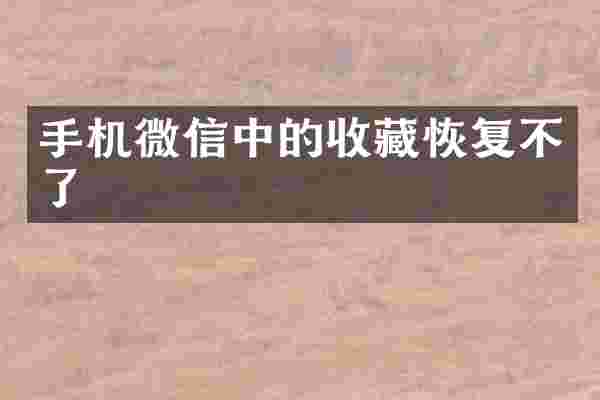 手机微信中的收藏恢复不了