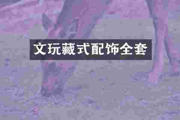 文玩藏式配饰全套