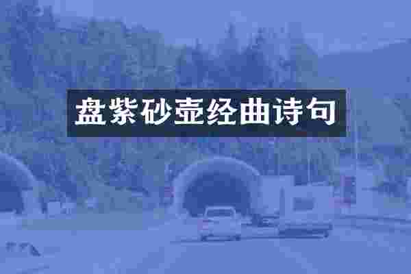 盘紫砂壶经曲诗句