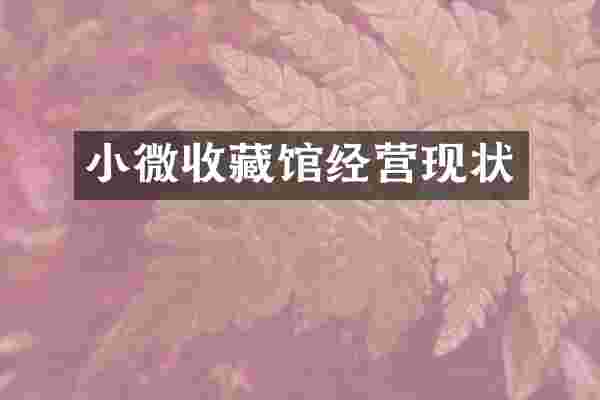 小微收藏馆经营现状