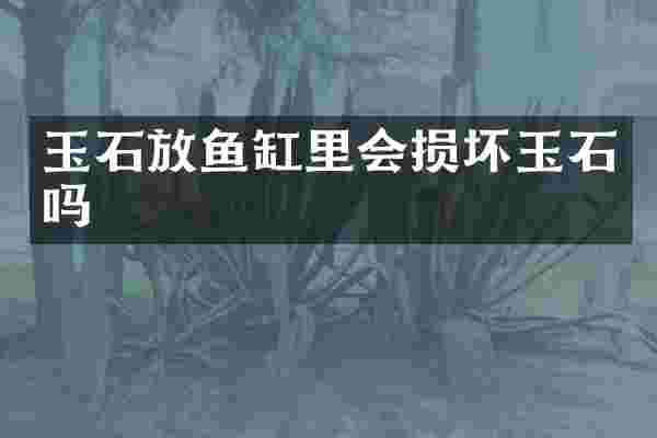 玉石放鱼缸里会损坏玉石吗