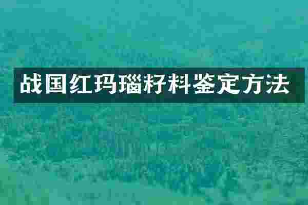 战国红玛瑙籽料鉴定方法