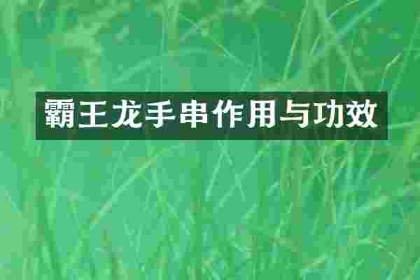 霸王龙手串作用与功效