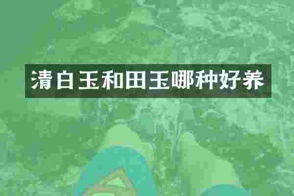 清白玉和田玉哪种好养