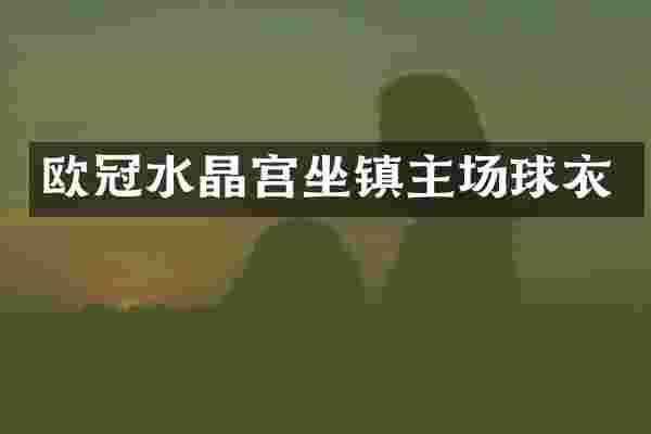 欧冠水晶宫坐镇主场球衣