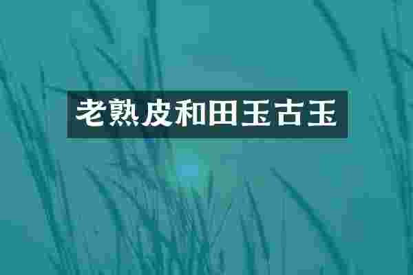 老熟皮和田玉古玉