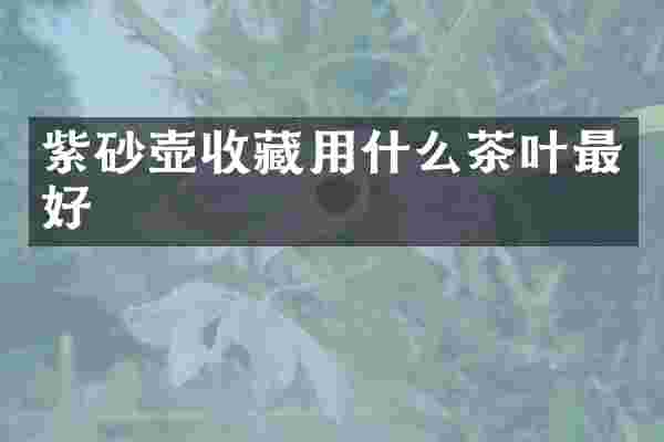 紫砂壶收藏用什么茶叶最好