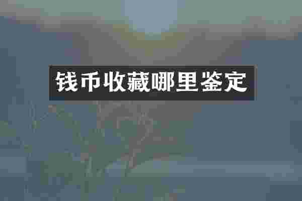 钱币收藏哪里鉴定