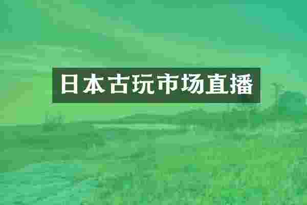 日本古玩市场直播