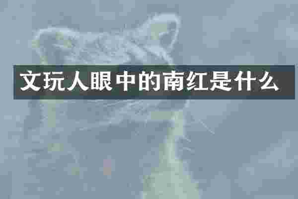 文玩人眼中的南红是什么