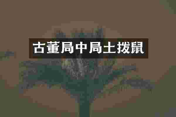 古董局中局土拨鼠