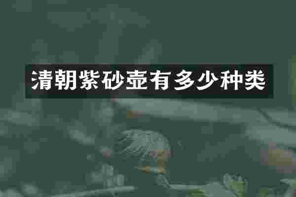 清朝紫砂壶有多少种类