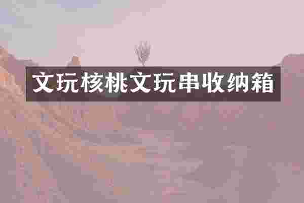 文玩核桃文玩串收纳箱