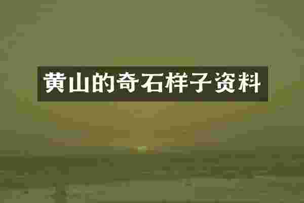 黄山的奇石样子资料