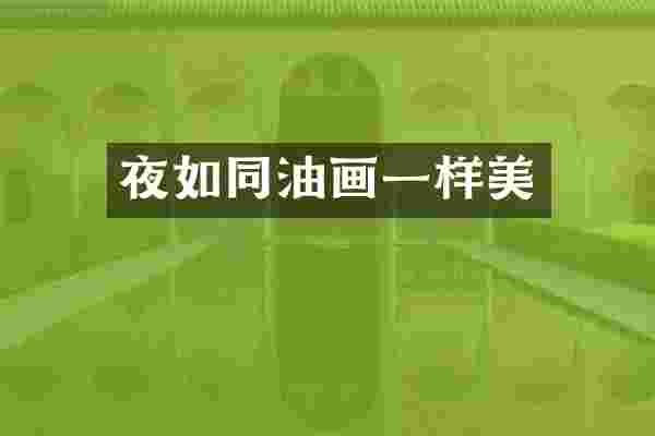夜如同油画一样美