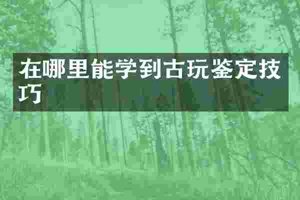 在哪里能学到古玩鉴定技巧
