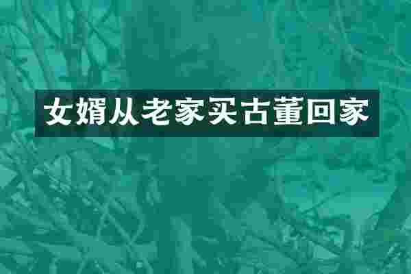 女婿从老家买古董回家